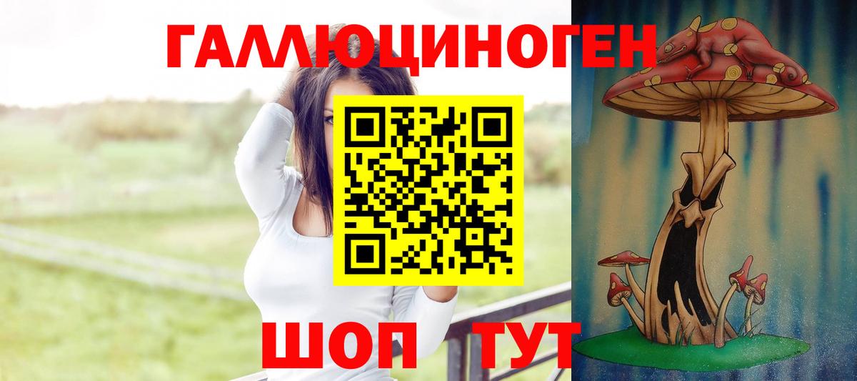 Краснознаменск  Псилоцибиновые грибы мухоморы  Вход с VPN 